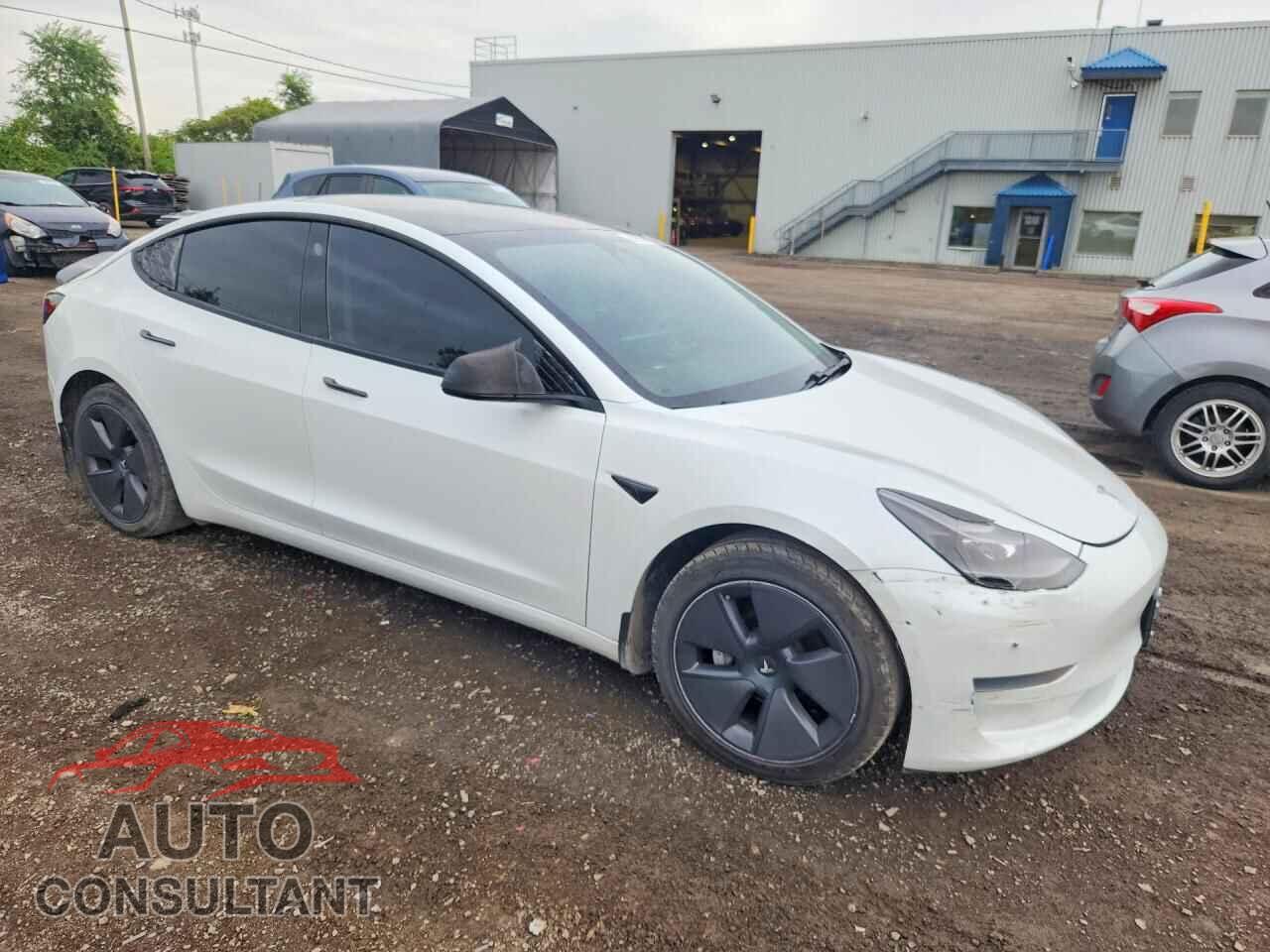 TESLA MODEL 3 2021 - 5YJ3E1EA9MF085241