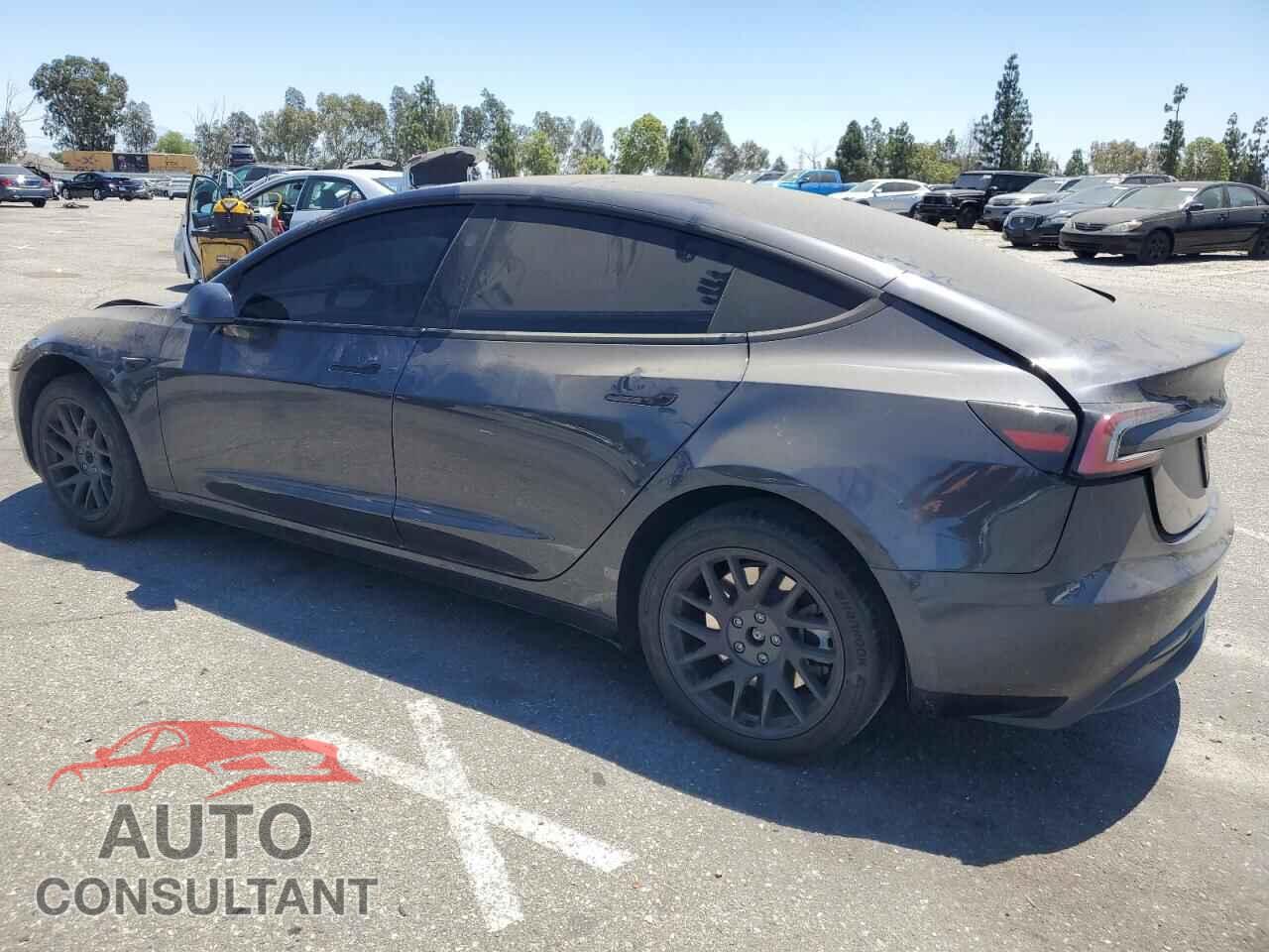 TESLA MODEL 3 2024 - 5YJ3E1EA7RF744781