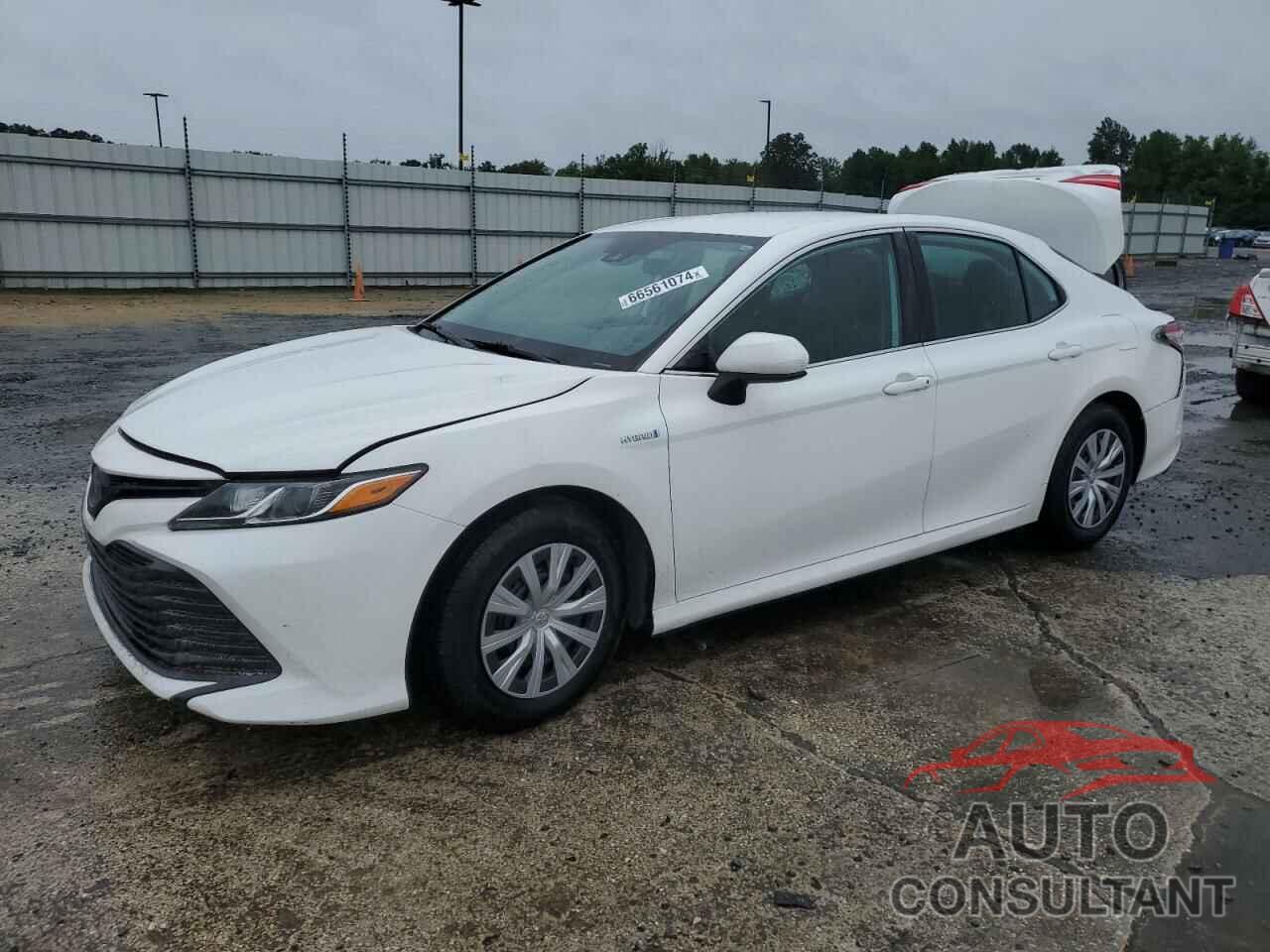 TOYOTA CAMRY 2020 - 4T1C31AK3LU541515