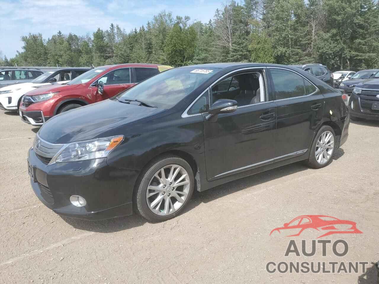 LEXUS HS 2010 - JTHBB1BA8A2034691