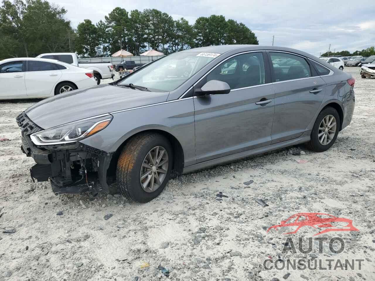 HYUNDAI SONATA 2019 - 5NPE24AF9KH762114