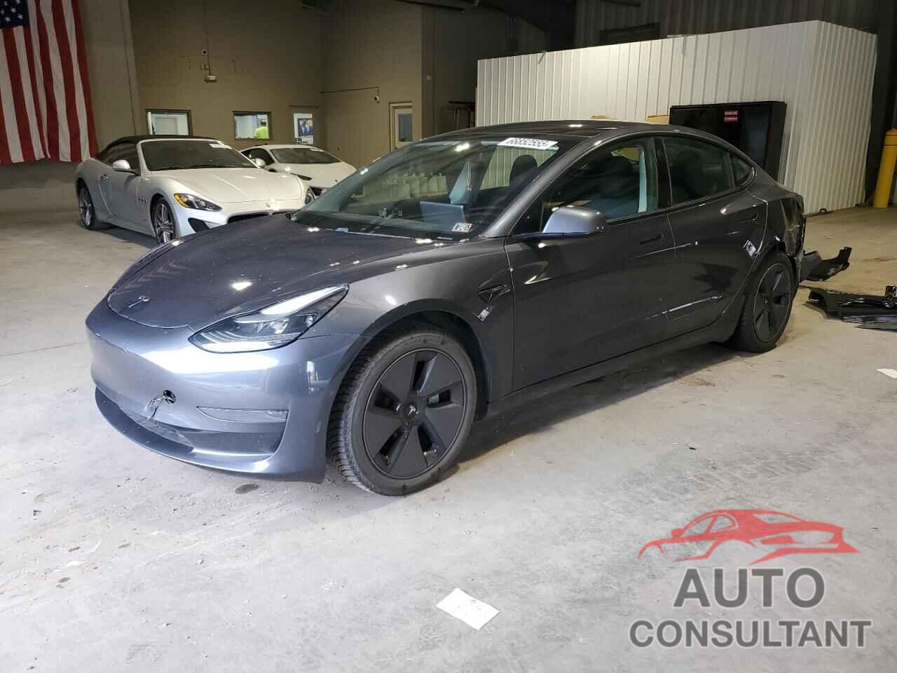 TESLA MODEL 3 2021 - 5YJ3E1EA4MF919481