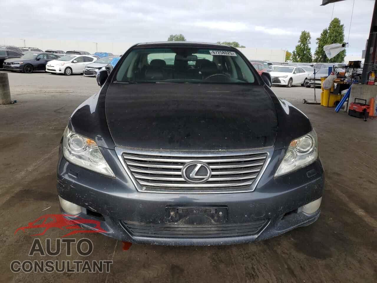 LEXUS LS460 2010 - JTHBL5EF7A5099400
