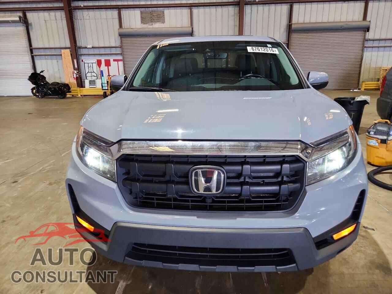 HONDA RIDGELINE 2024 - 5FPYK3F56RB031499