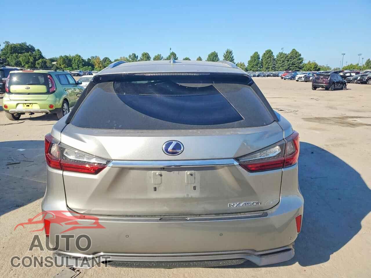 LEXUS RX450 2019 - 2T2BGMCA0KC032841