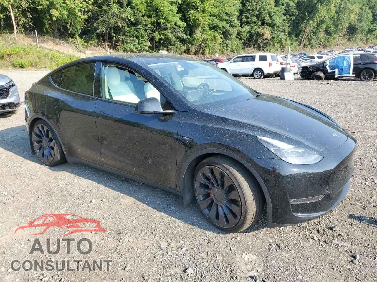 TESLA MODEL Y 2023 - 7SAYGDEF3PF936485