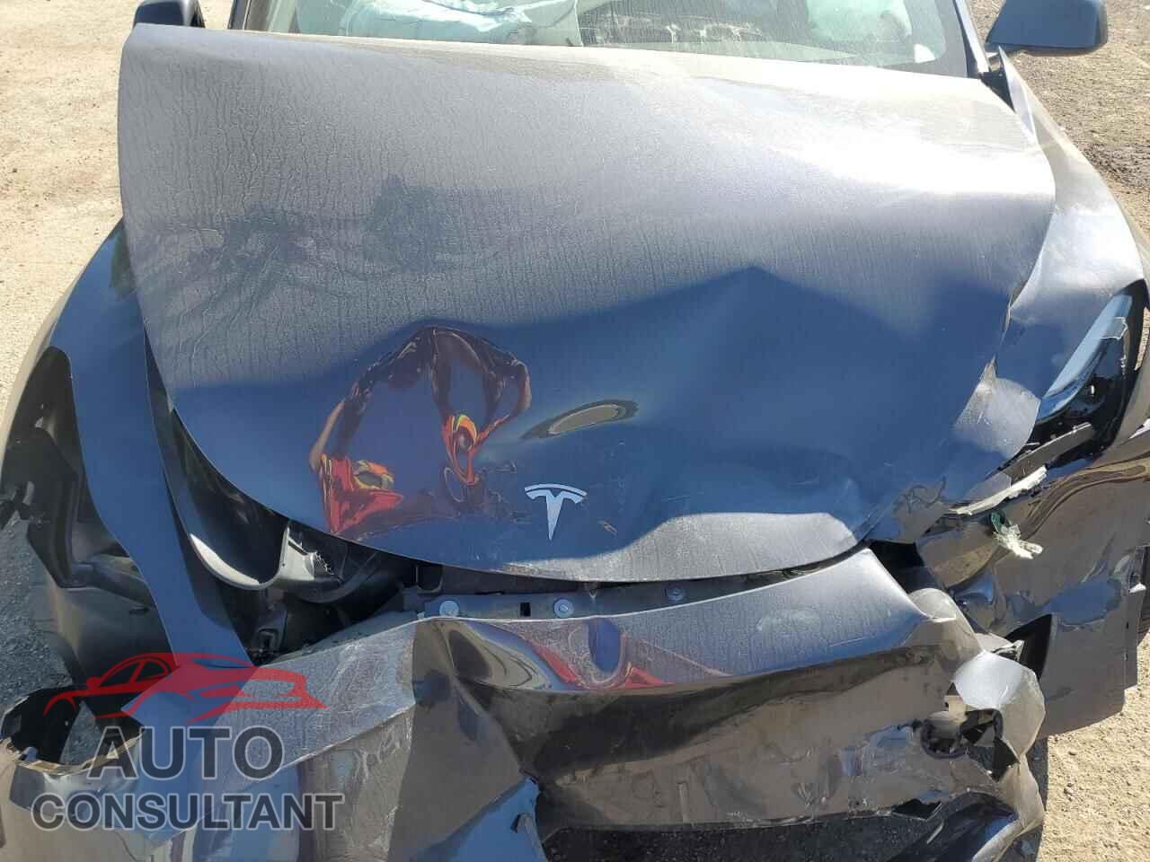TESLA MODEL Y 2023 - LRWYGDFD1PC071892
