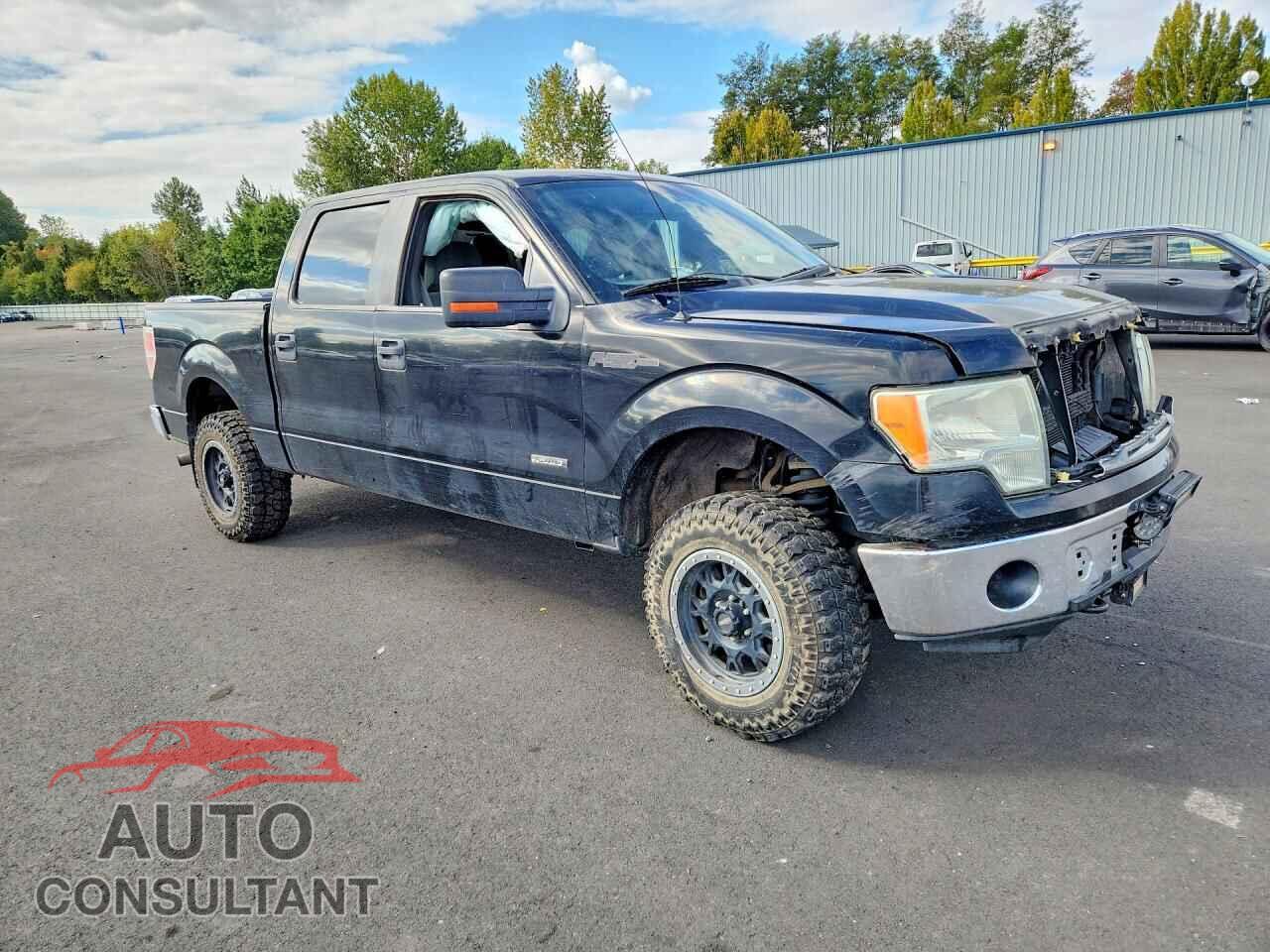 FORD F150 2011 - 1FTFW1ET7BFC51664