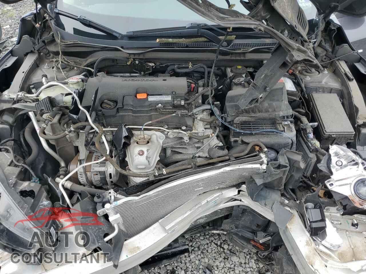 HONDA CIVIC 2019 - 2HGFC2F62KH567898