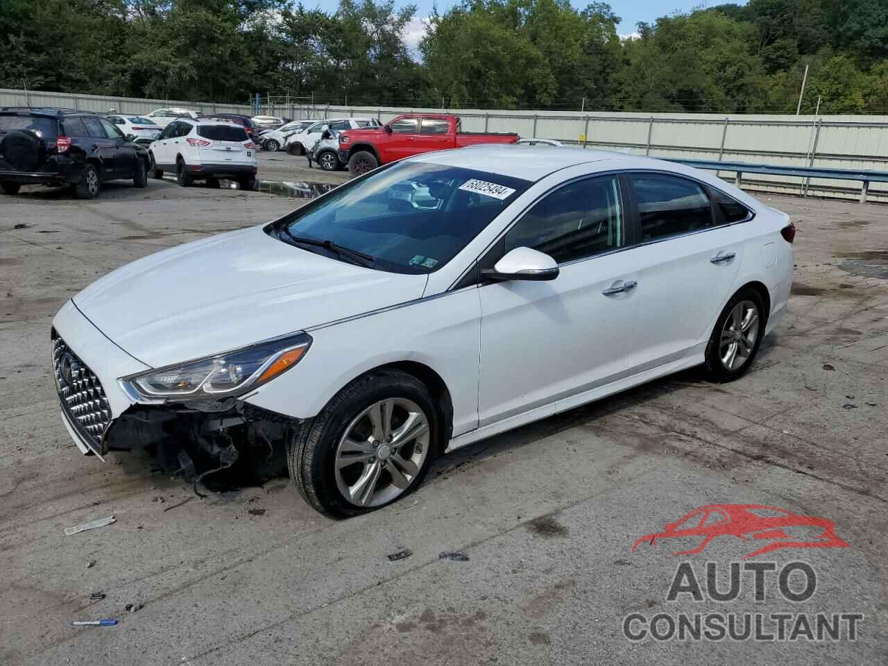 HYUNDAI SONATA 2019 - 5NPE34AF3KH818142
