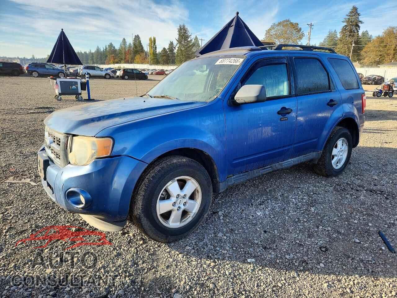 FORD ESCAPE 2010 - 1FMCU9DG6AKB80843