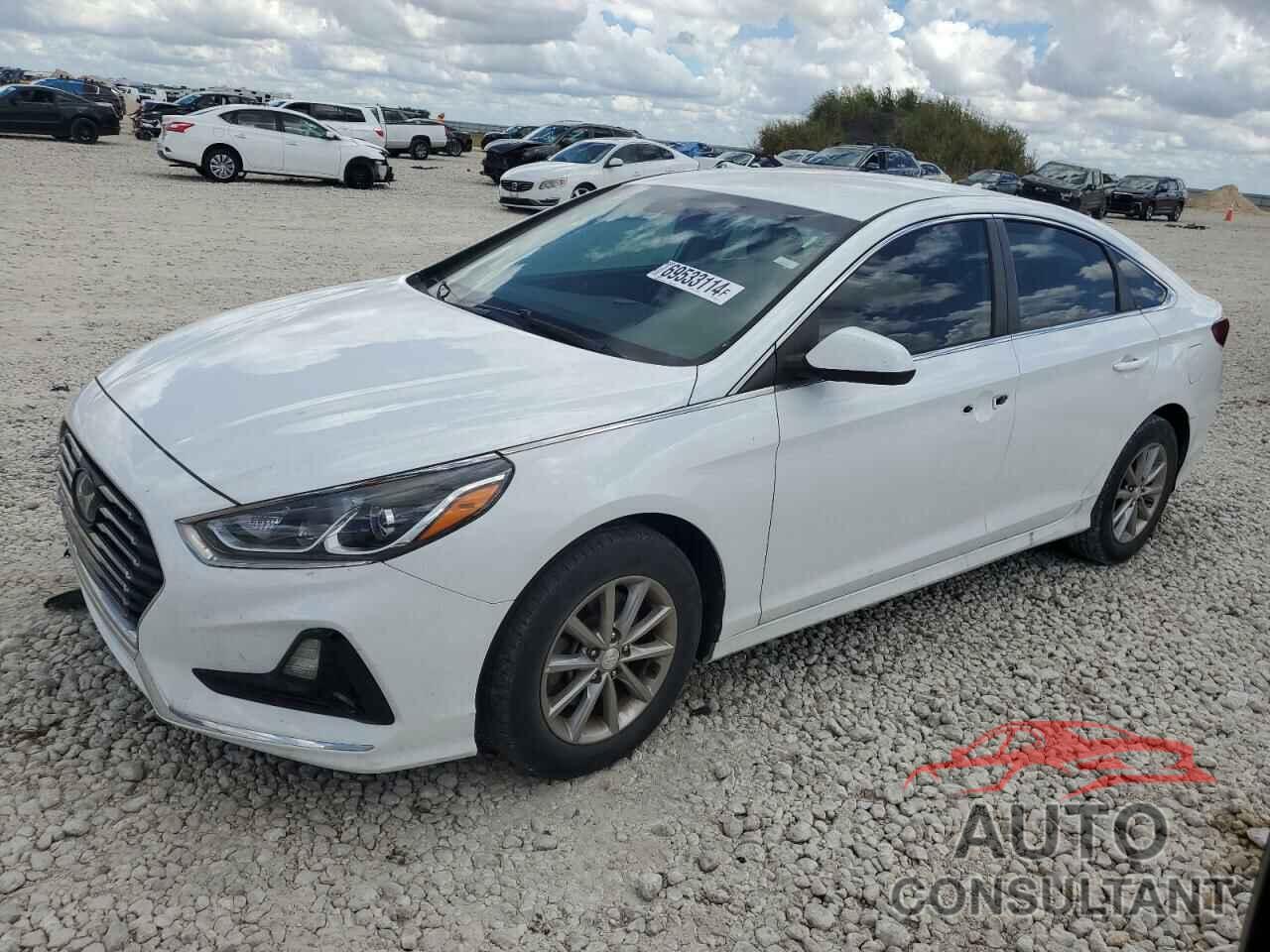 HYUNDAI SONATA 2019 - 5NPE24AF5KH741499