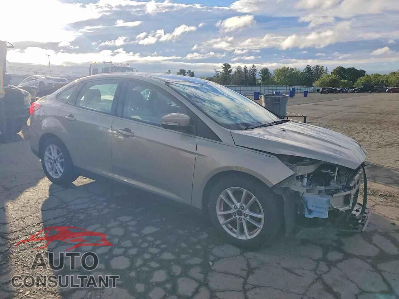 FORD FOCUS 2016 - 1FADP3F29GL385094