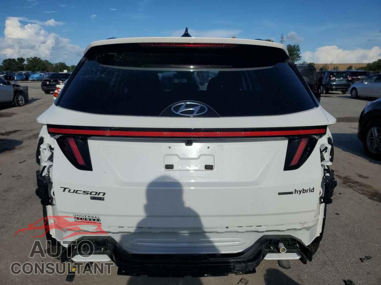 HYUNDAI TUCSON 2023 - KM8JBCA12PU123787
