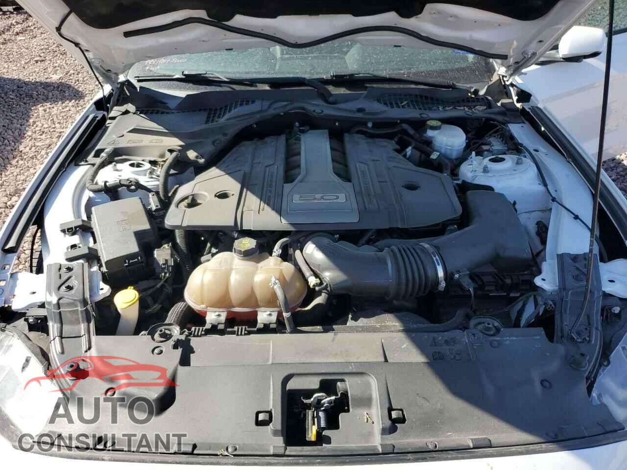FORD MUSTANG 2019 - 1FA6P8CF9K5159230