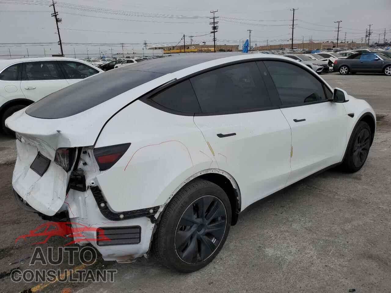 TESLA MODEL Y 2024 - 7SAYGDED6RF101045
