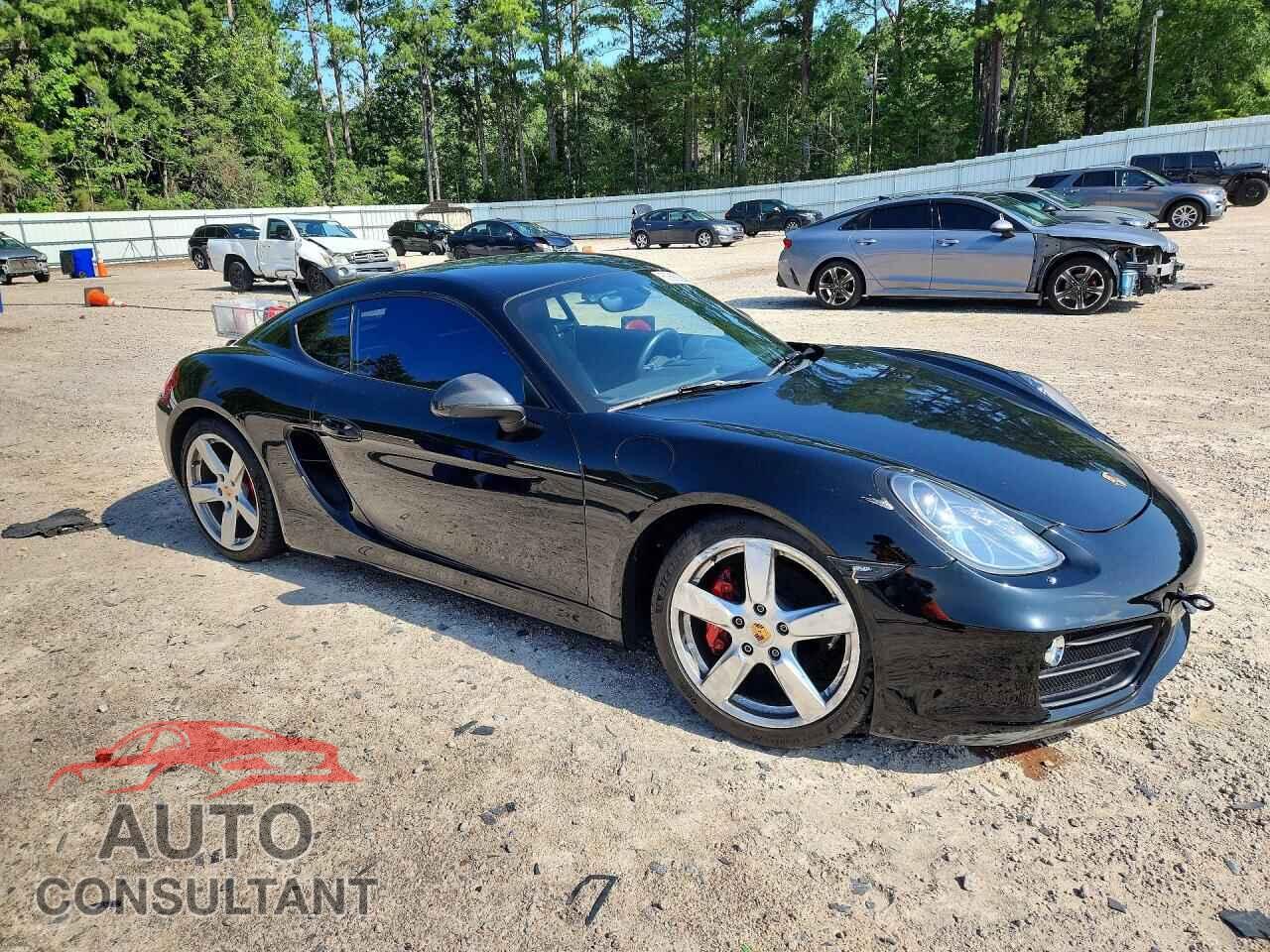 PORSCHE CAYMAN 2014 - WP0AB2A85EK191425