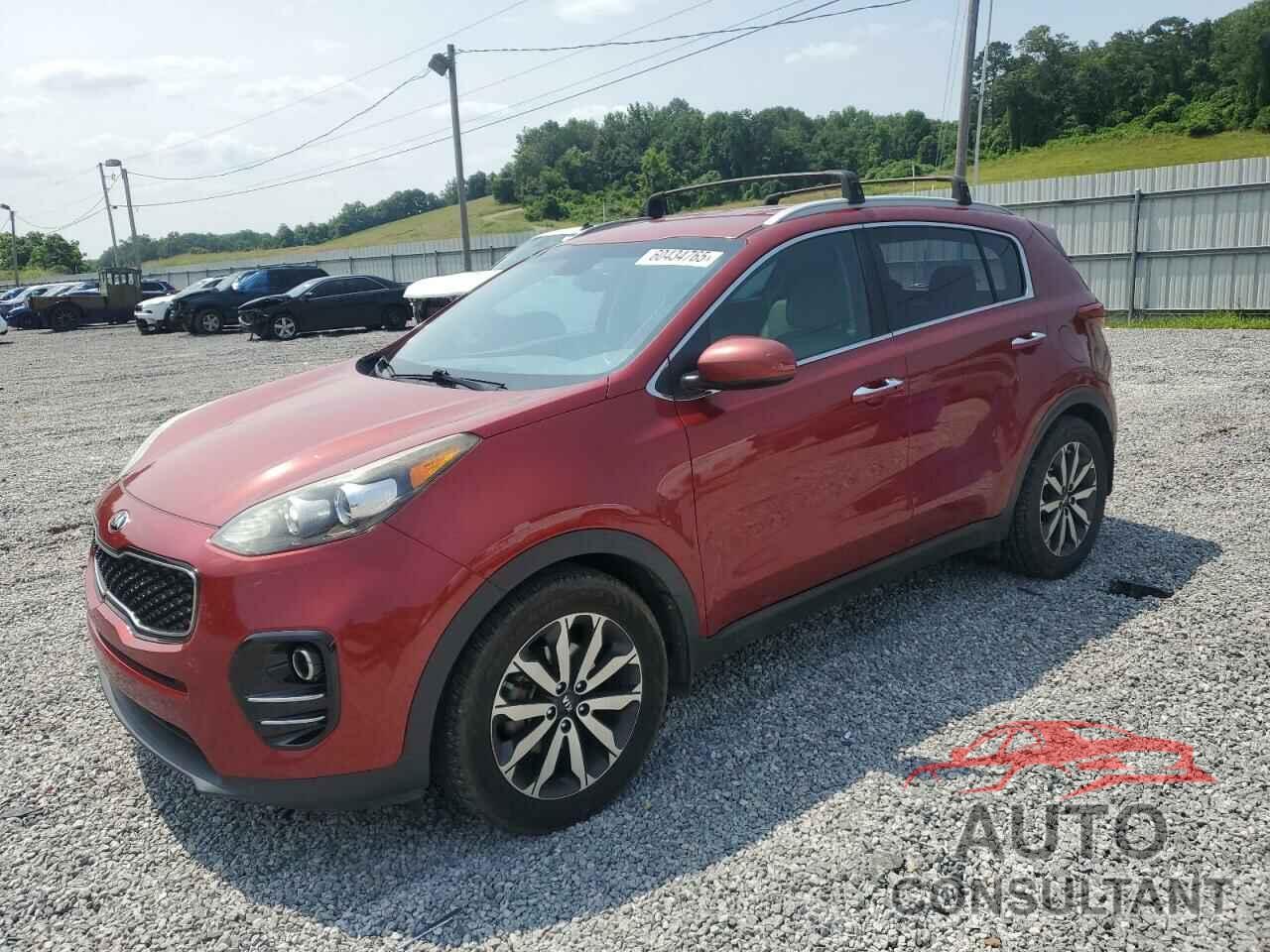 KIA SPORTAGE 2017 - KNDPN3AC6H7259377