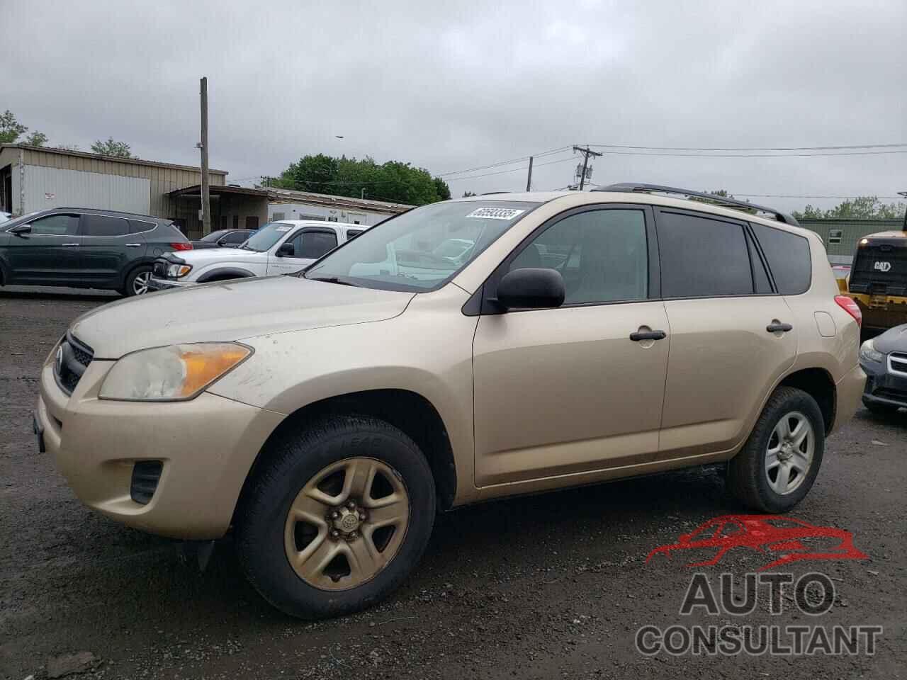 TOYOTA RAV4 2011 - 2T3BF4DV5BW125434