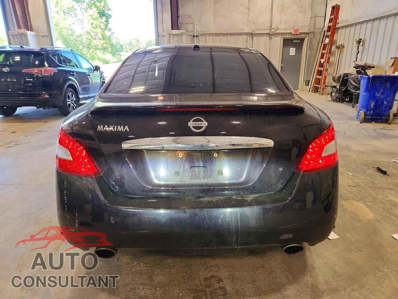 NISSAN MAXIMA 2011 - 1N4AA5AP0BC842029