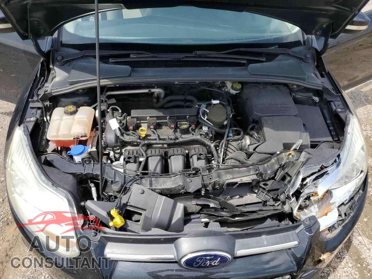 FORD FOCUS 2014 - 1FADP3K25EL192234