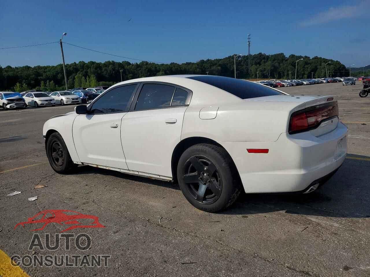 DODGE CHARGER 2013 - 2C3CDXAT2DH523514