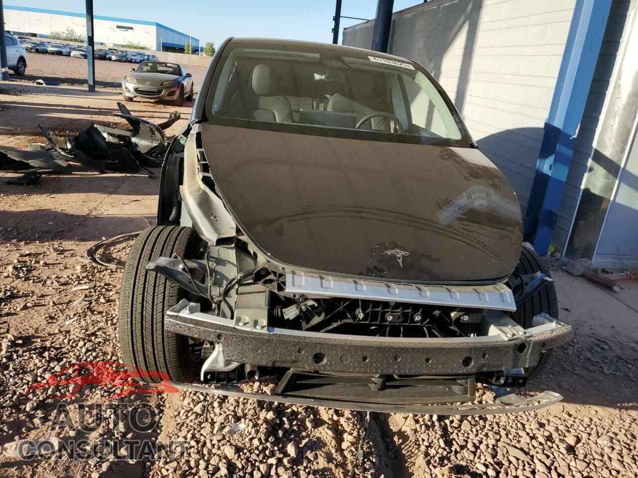 TESLA MODEL Y 2024 - 7SAYGDED9RF119930