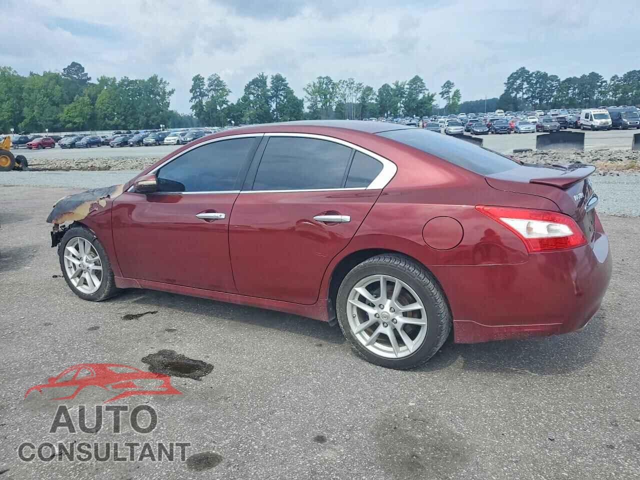 NISSAN MAXIMA 2009 - 1N4AA51E19C822784