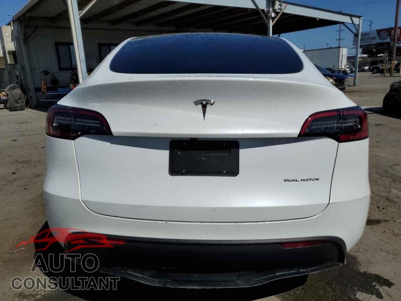 TESLA MODEL Y 2024 - 7SAYGAEE8RF108621