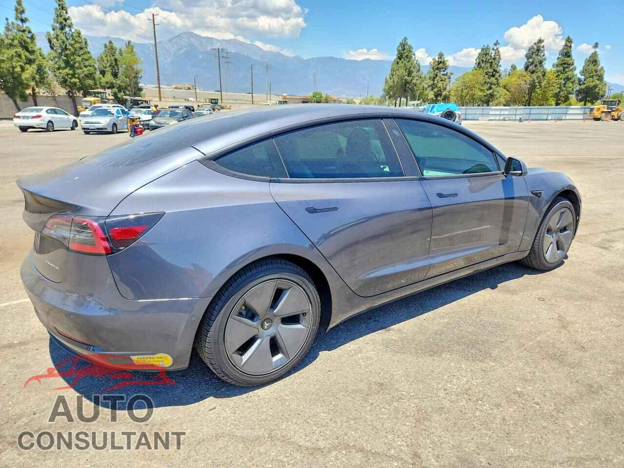 TESLA MODEL 3 2022 - 5YJ3E1EBXNF204201