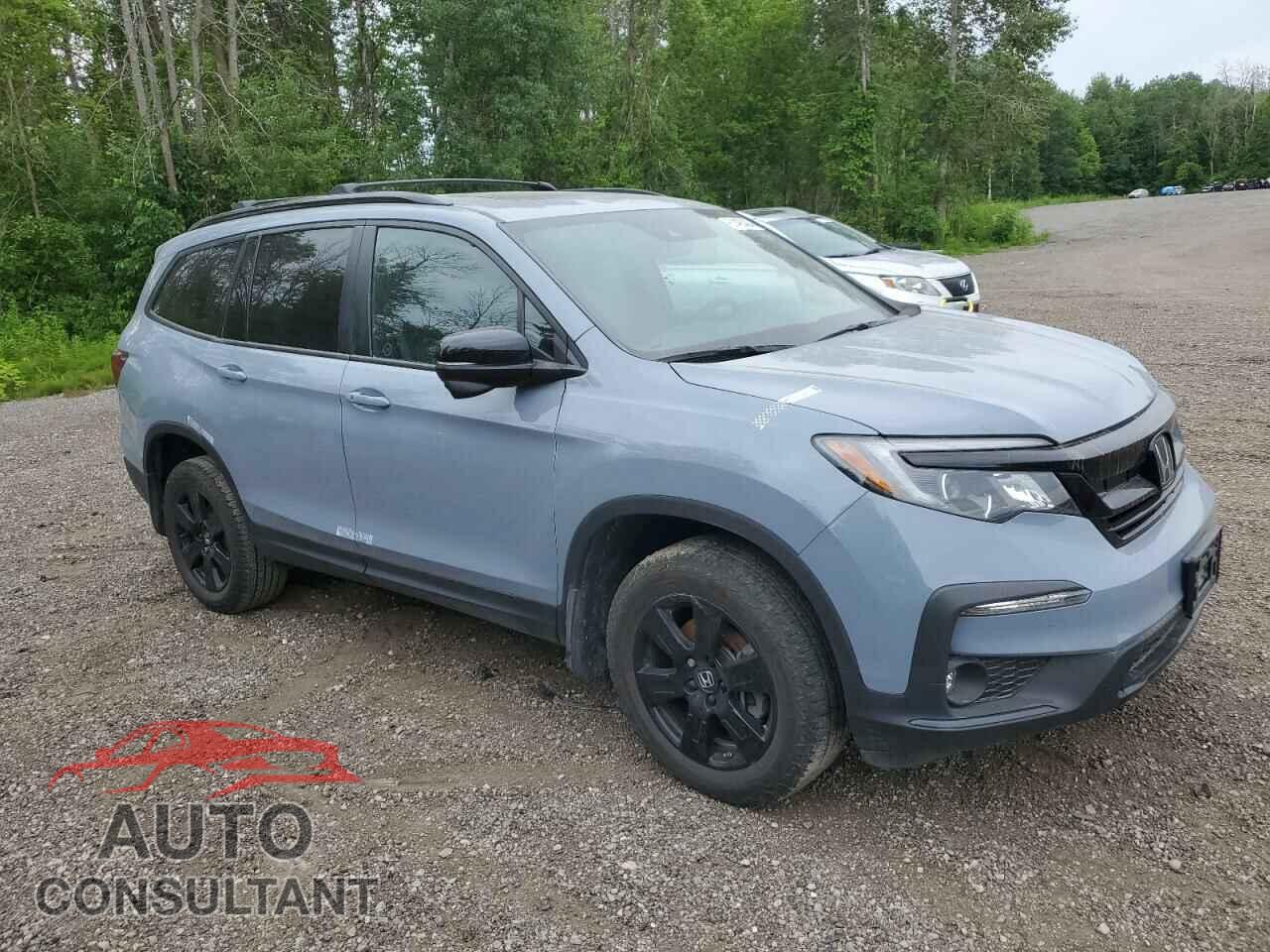 HONDA PILOT 2022 - 5FNYF6H8XNB501730