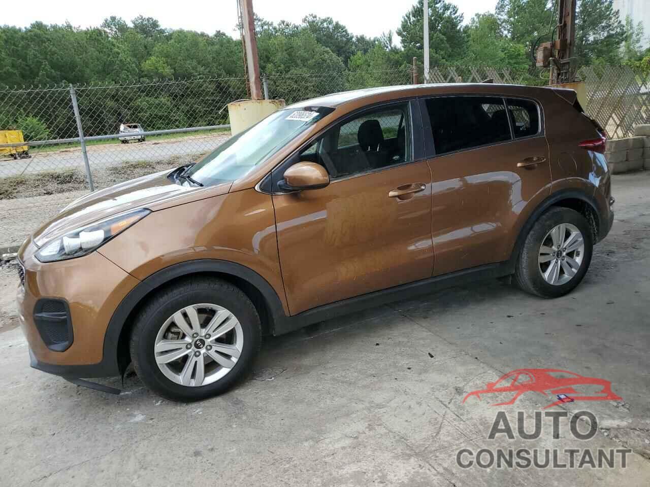 KIA SPORTAGE 2019 - KNDPM3AC7K7593945