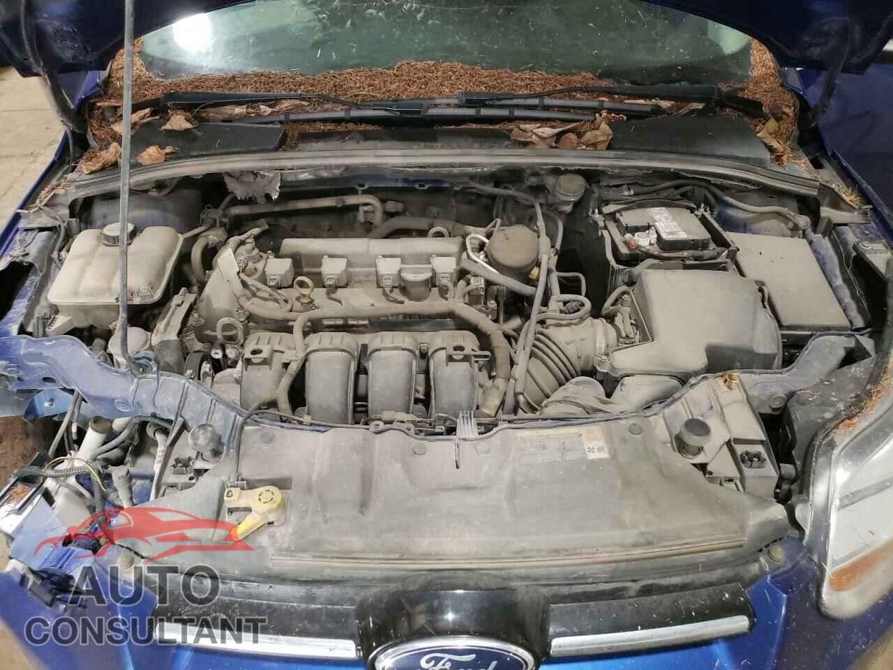 FORD FOCUS 2012 - 1FAHP3M23CL373652