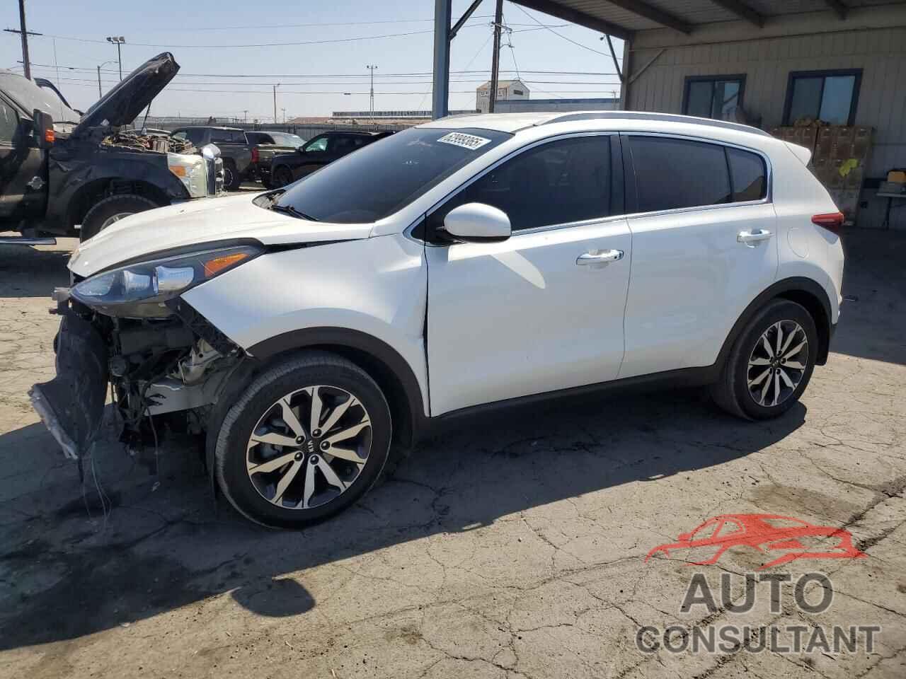 KIA SPORTAGE 2017 - KNDPN3AC7H7296874