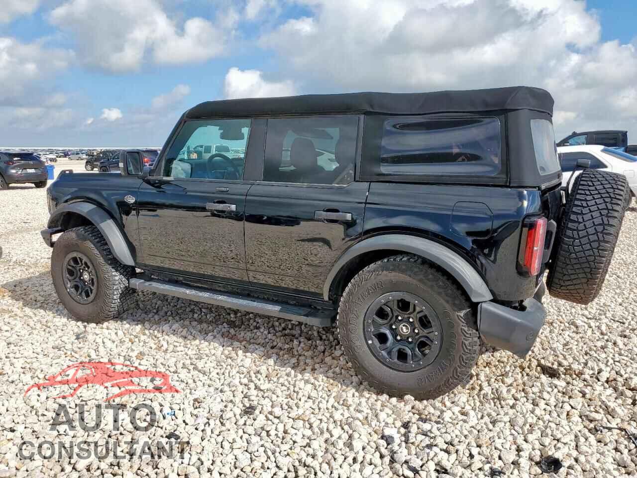 FORD BRONCO WIL 2023 - 1FMEE5DP3PLB31830