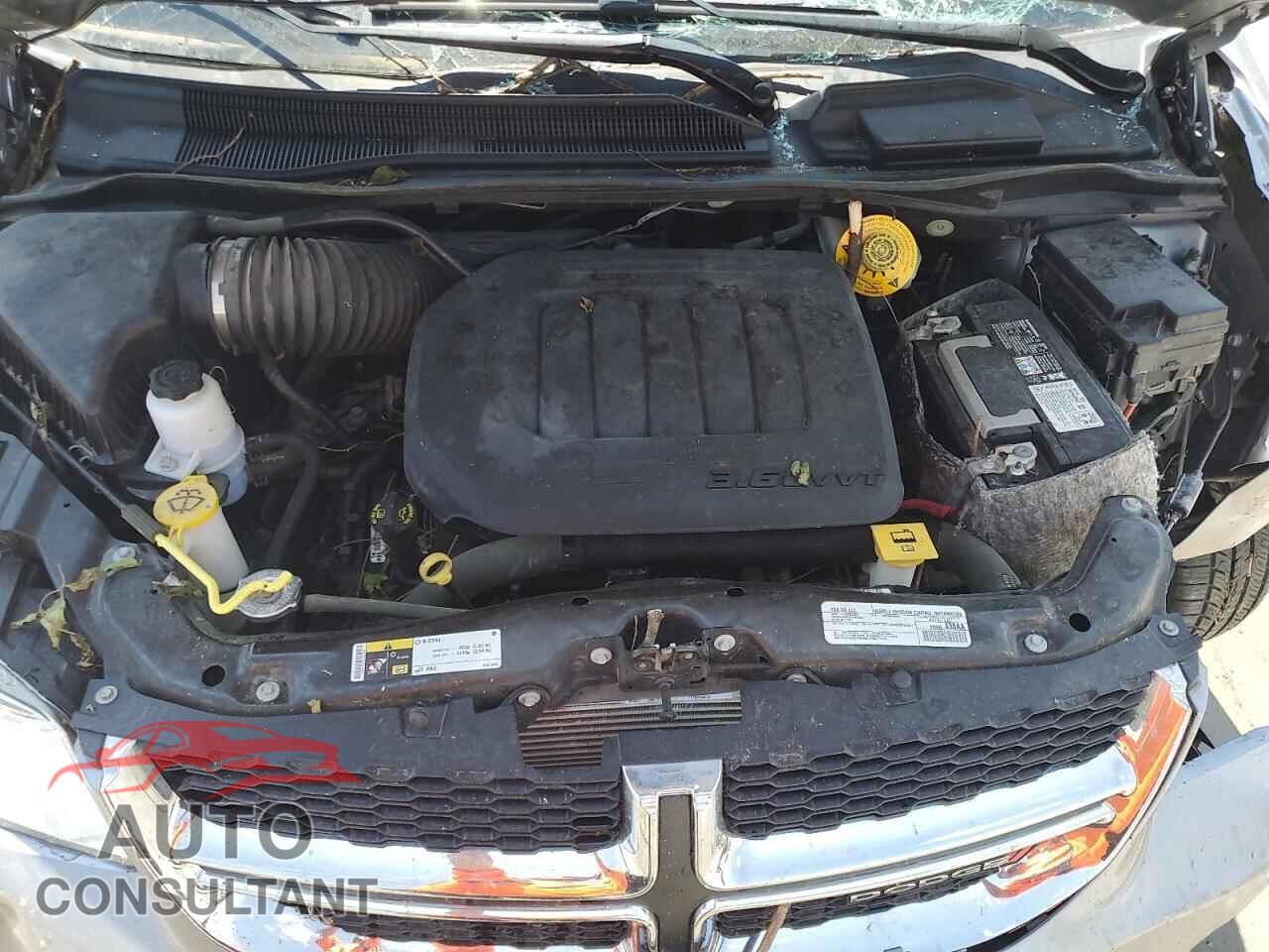 DODGE CARAVAN 2019 - 2C4RDGBG9KR573647