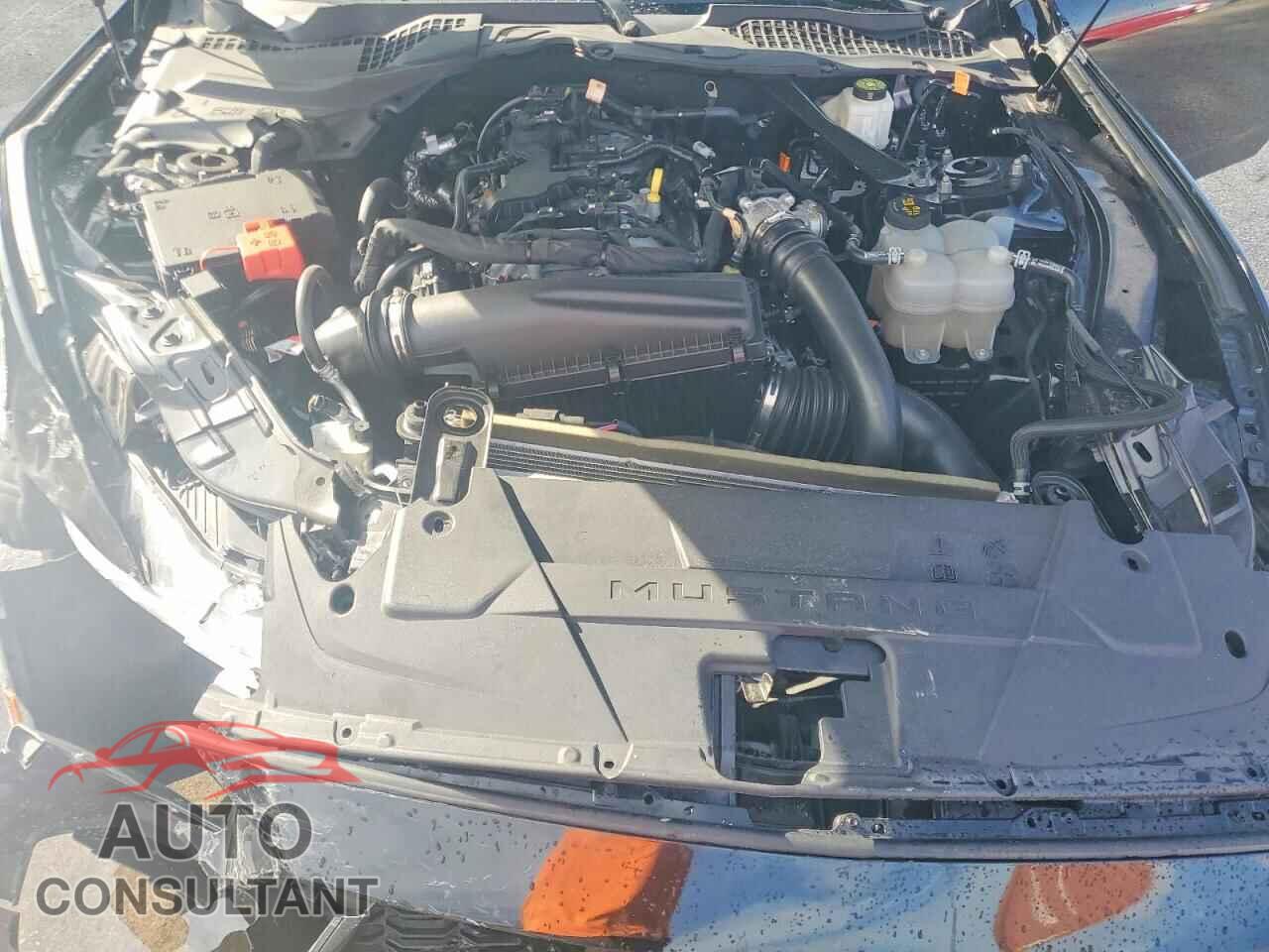 FORD MUSTANG 2024 - 1FAGP8UH0R5125224