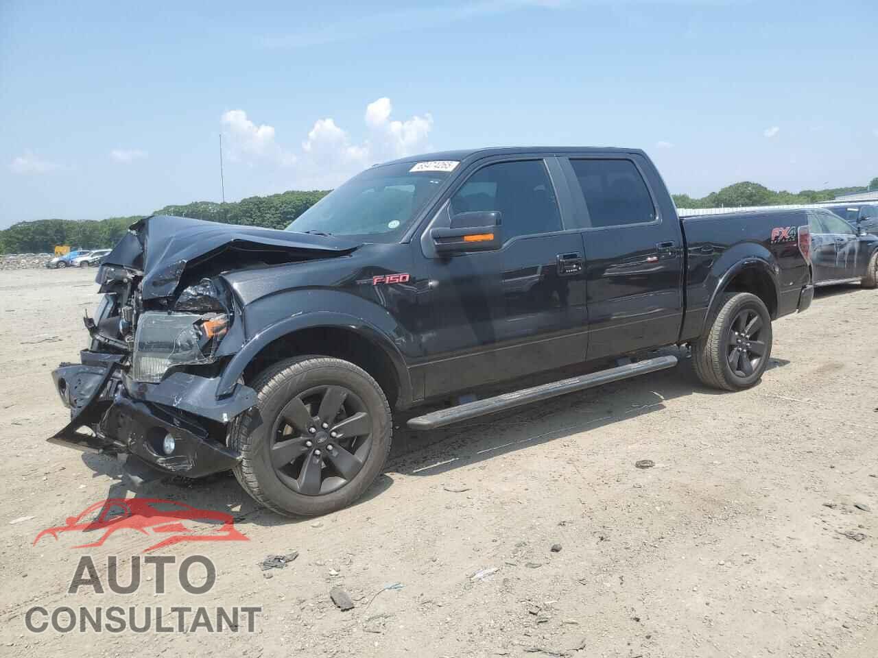 FORD F-150 2013 - 1FTFW1ET9DFD35519
