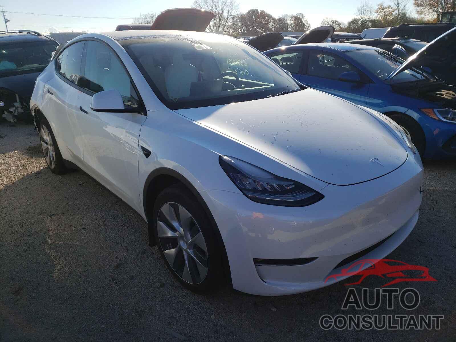 TESLA MODEL Y 2021 - 5YJYGDEE2MF134798
