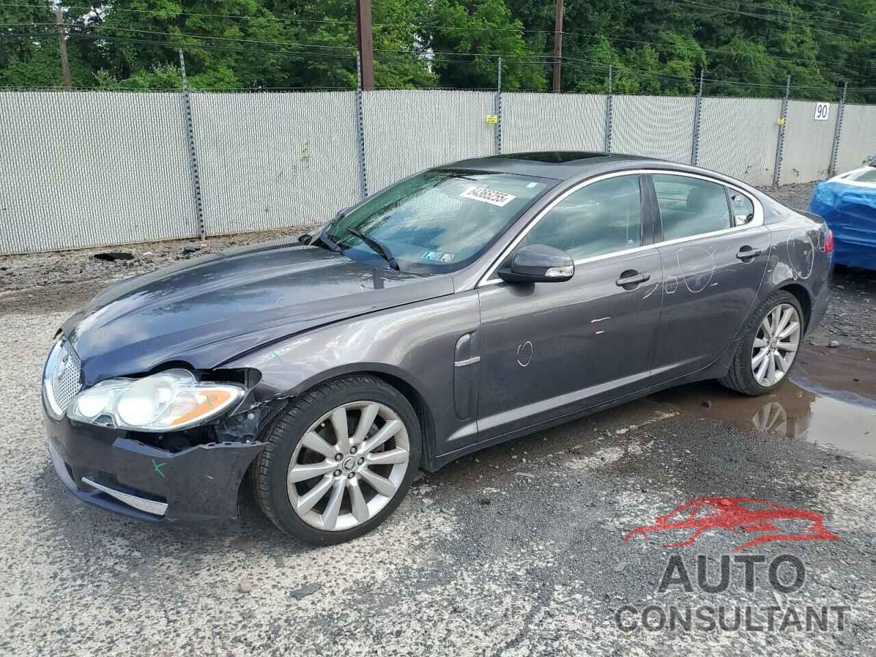 JAGUAR XF 2009 - SAJWA05B39HR06595