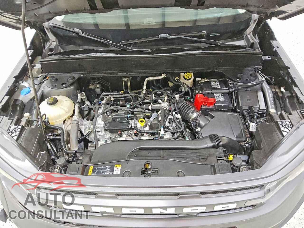 FORD BRONCO 2023 - 3FMCR9B65PRD49380