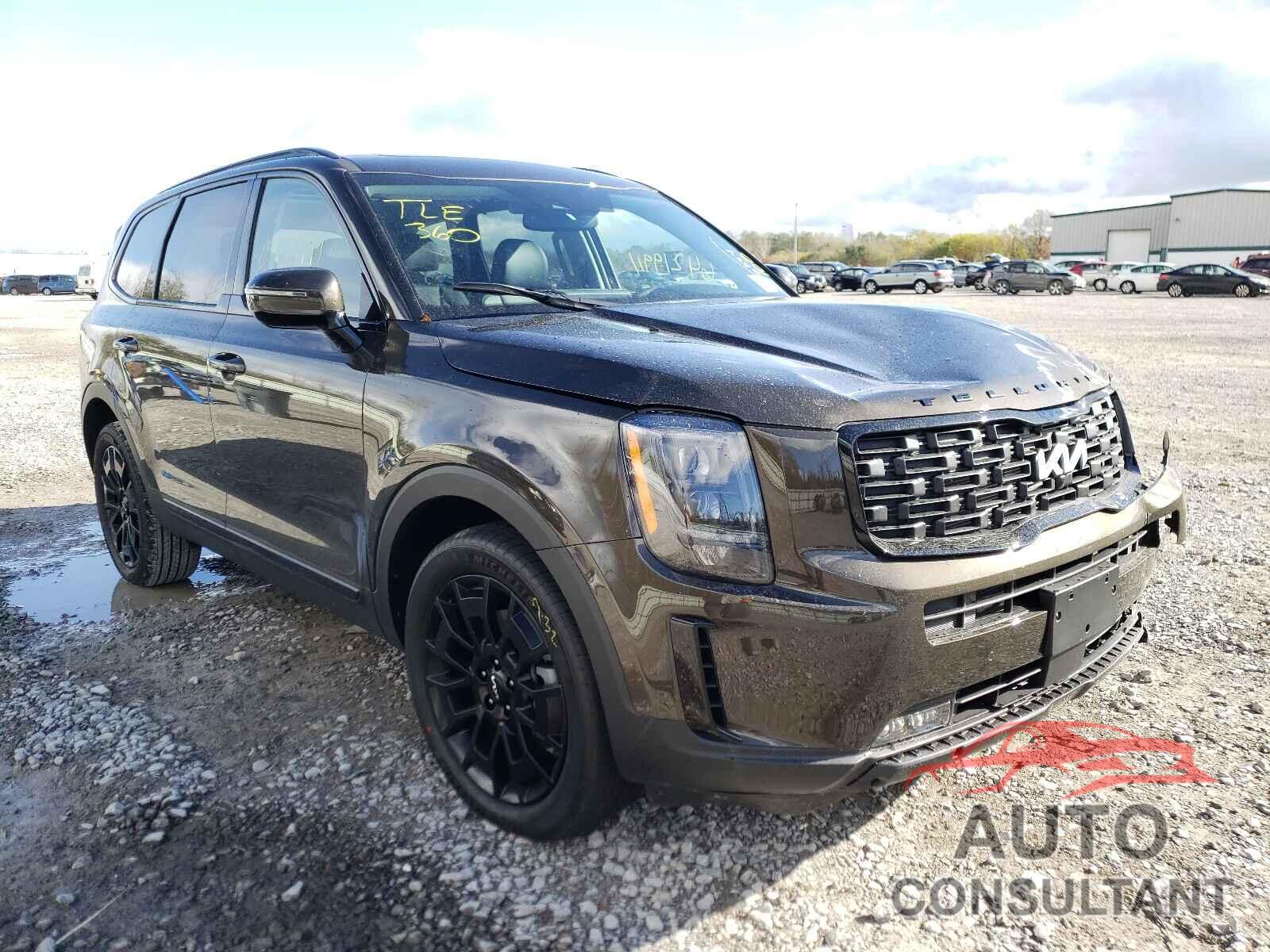 KIA TELLURIDE 2022 - 5XYP5DHC9NG229557