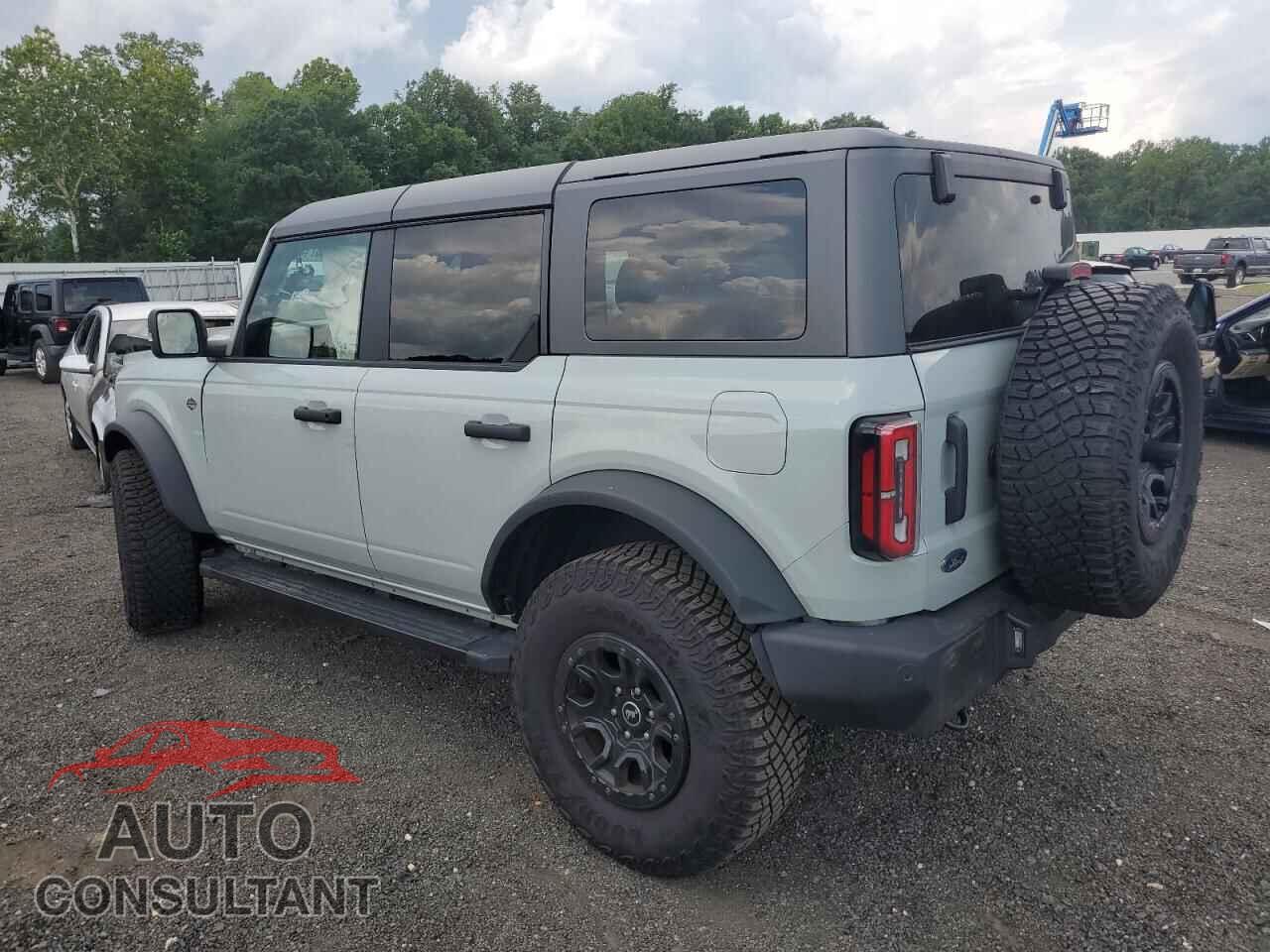 FORD BRONCO WIL 2024 - 1FMEE2BP7RLA42668
