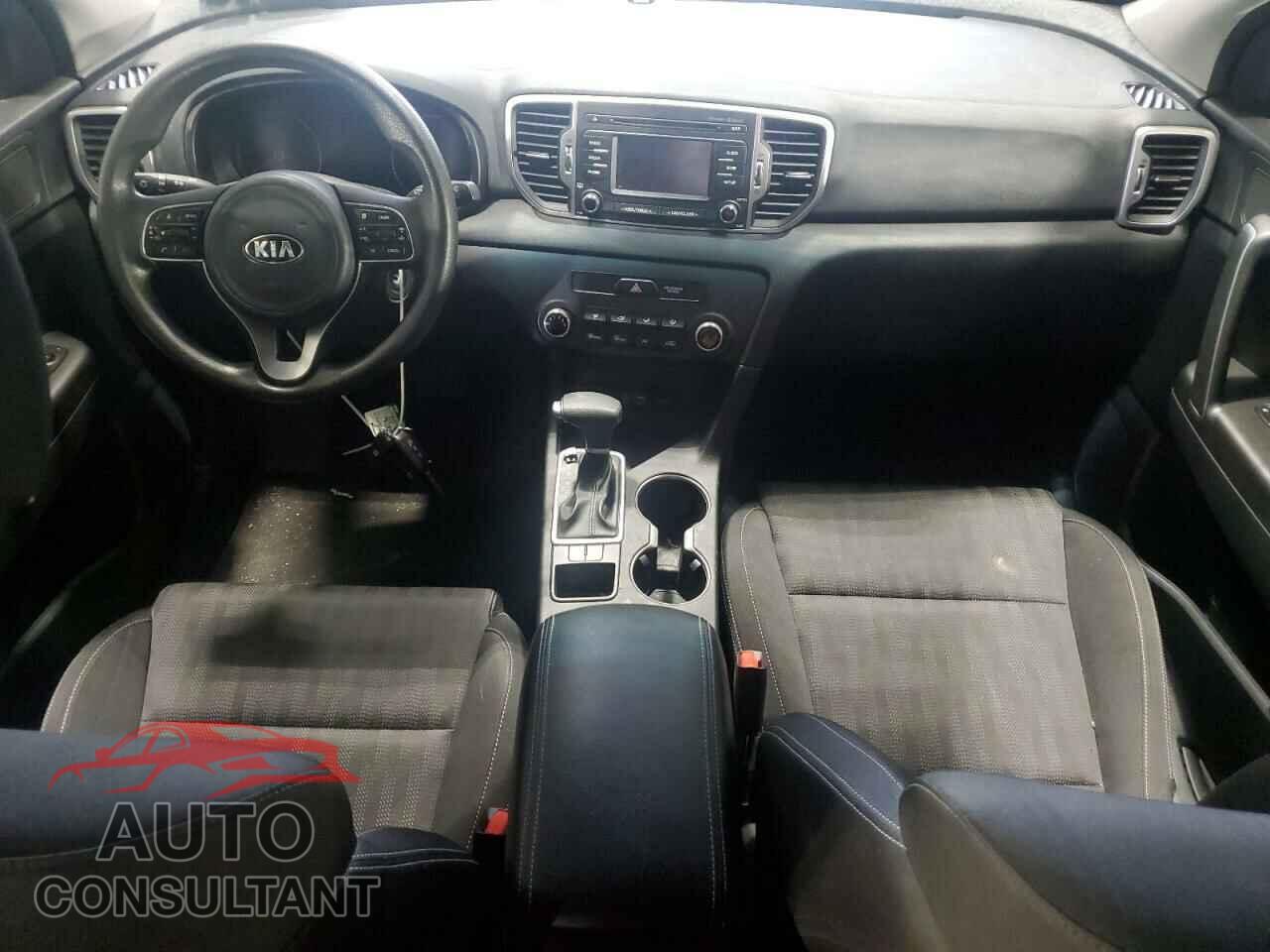 KIA SPORTAGE 2019 - KNDPM3AC5K7541925