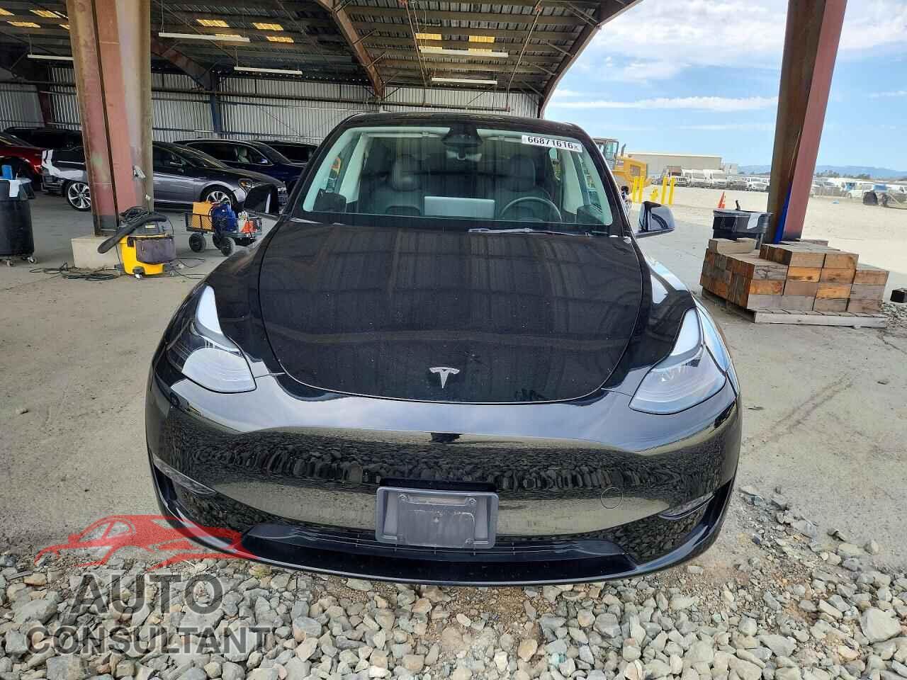TESLA MODEL Y 2024 - 7SAYGDEE5RF983494