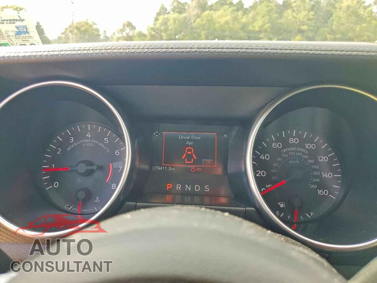 FORD MUSTANG 2019 - 1FATP8UH7K5158841