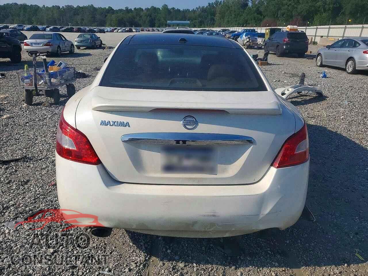 NISSAN MAXIMA 2009 - 1N4AA51E09C820735