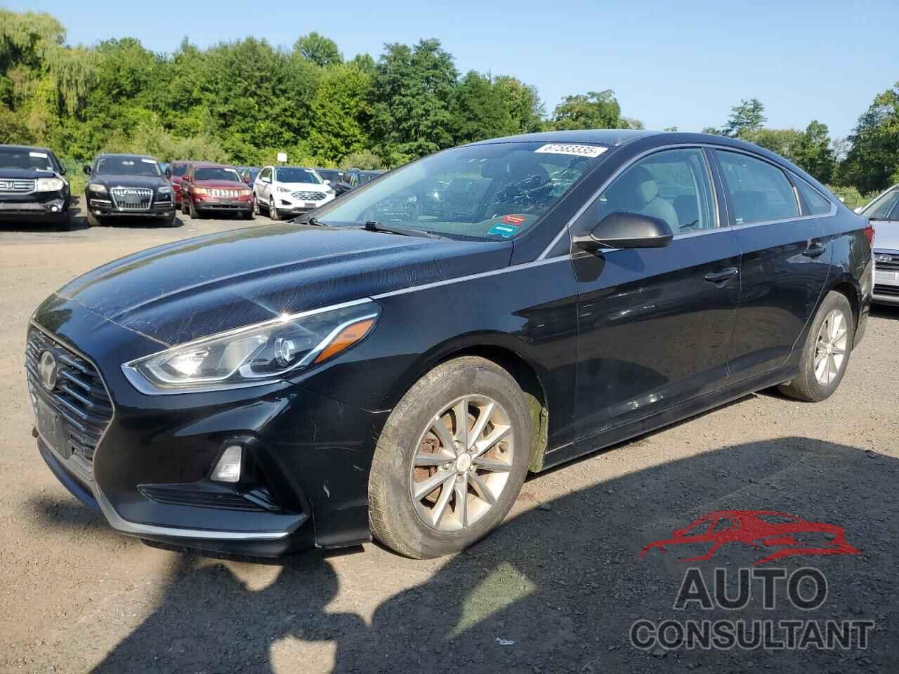 HYUNDAI SONATA 2018 - 5NPE24AF5JH620695