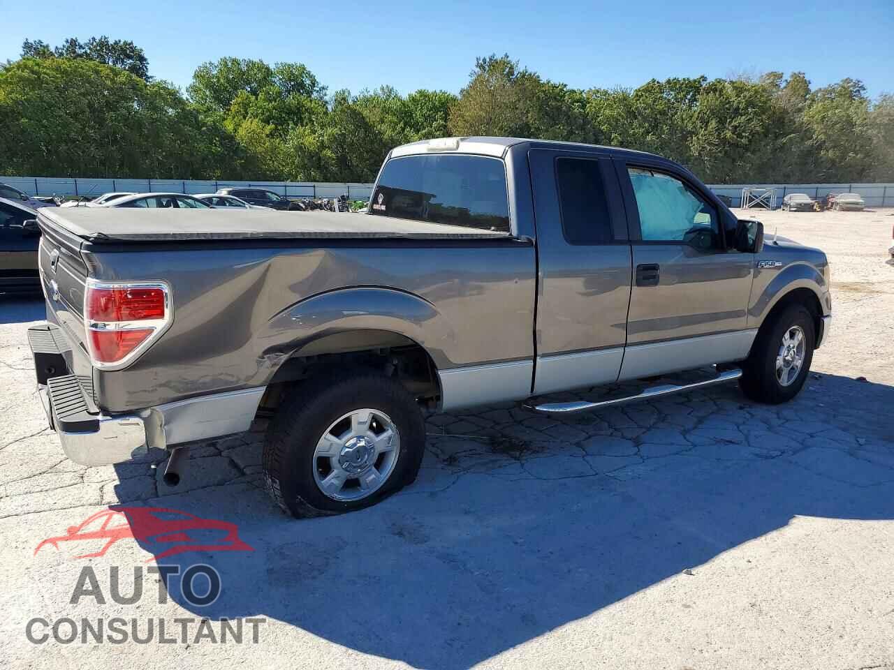 FORD F150 2009 - 1FTRX12829FB06262