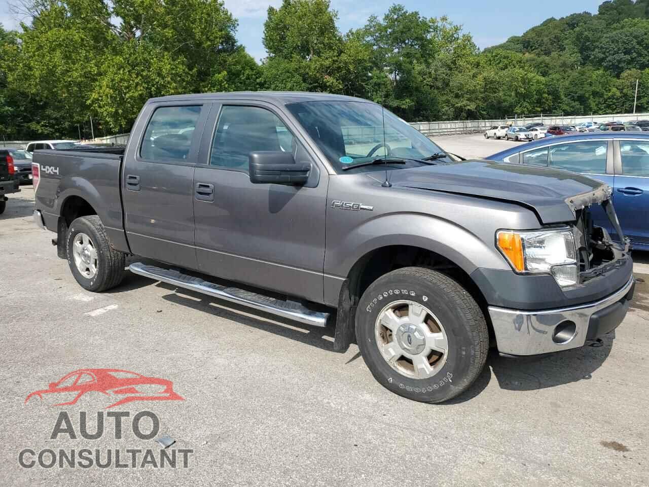 FORD F-150 2013 - 1FTFW1EF1DFD66029
